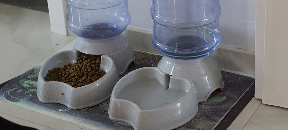 Pet water and dry food dispenser with automatic gravity refill