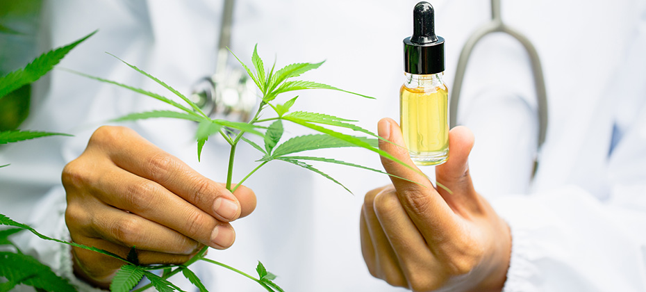 Doctors or researchers hold a bottle of hemp oil