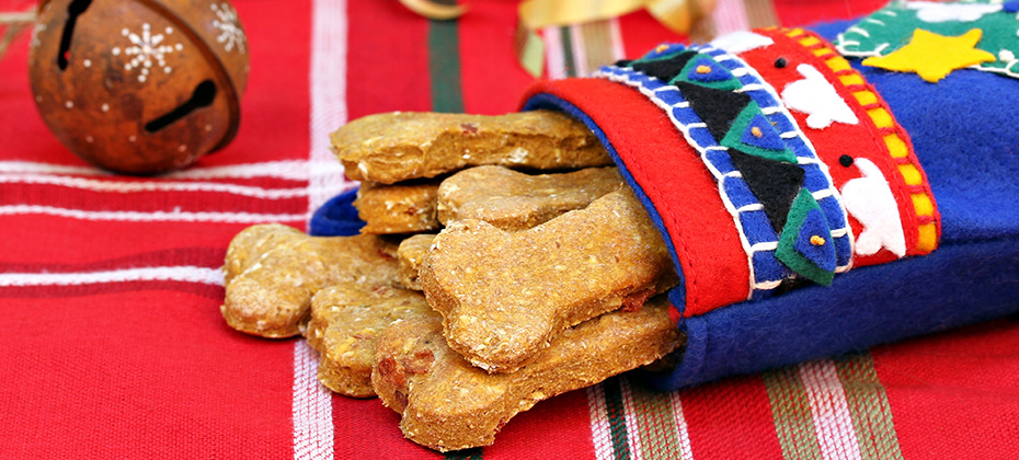 Homemade pumpkin bacon dog biscuits in a handmade Christmas stocking