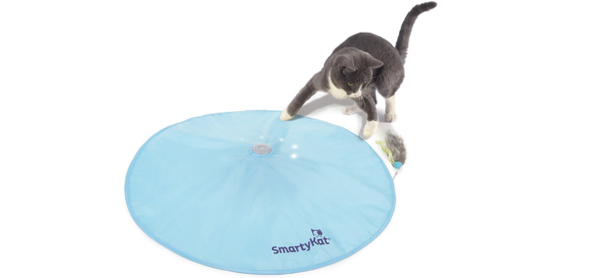 best toys for a cat