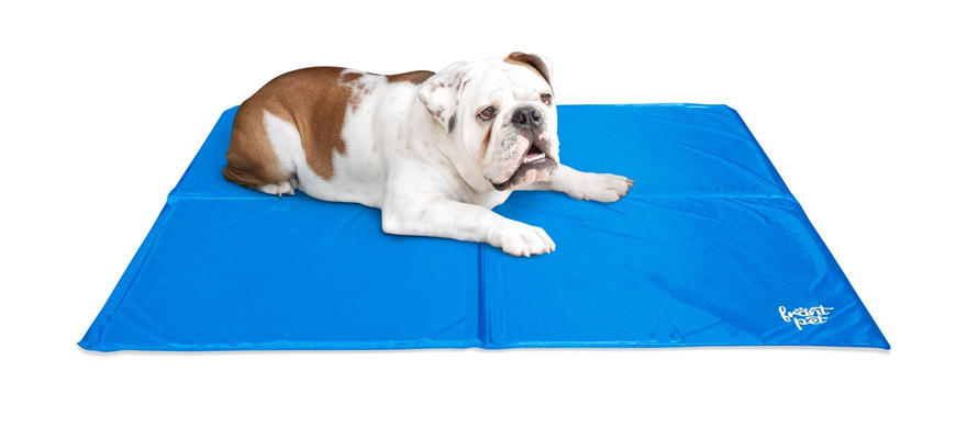 Dog Cooling Pad Reviews | Best Dog Cooling Pads of 2018 (Buying Guide)