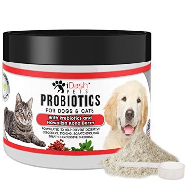 10 Best Probiotics for Your Cat (Review & Buying Guide) 2018