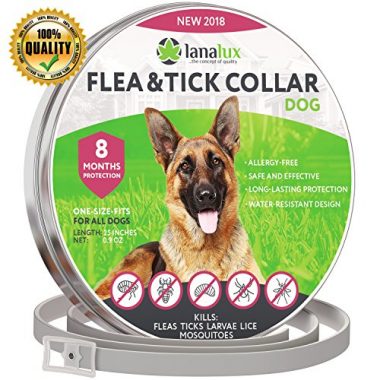 8 Best Flea Collars For Dogs In 2018 | Review