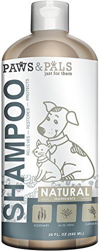 Best Medicated Dog Shampoo of 2019 | Medicated Dog Shampoo Reviews