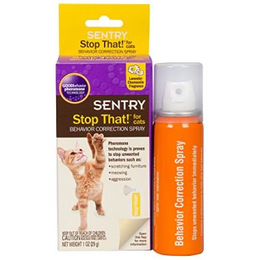 Best Cat Calming Spray  Review Buying Guide in 2021