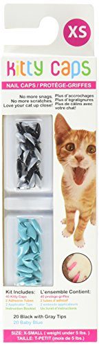 Best Nail Caps for Cats (Review & Buying Guide) in 2019