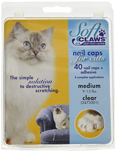 cat nail caps reviews