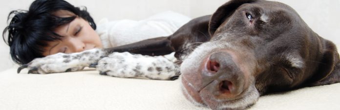 Why Do Dogs Sleep with Their Eyes Open? What You Should Know