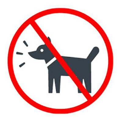 Best Apps To Stop Dogs Barking