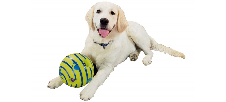 Best Toys for Blind Dogs (Review & Buying Guide) in 2019