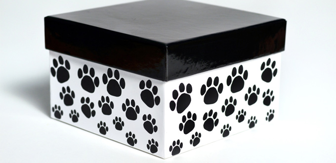 box urn with dog ashes