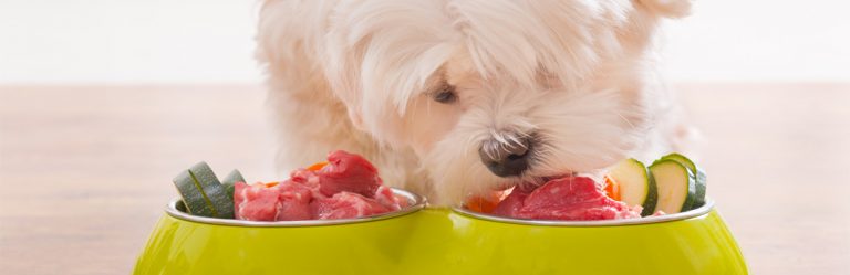 benefits-of-buying-dog-food-in-bulk-my-pet-needs-that