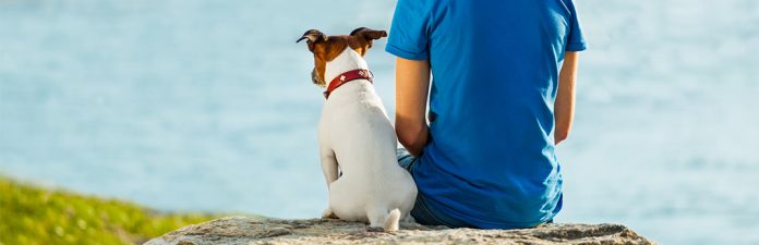 5-ways-to-say-i-love-you-in-dog-language-my-pet-needs-that