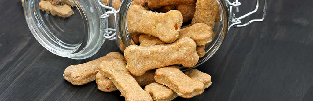 How to Make Pumpkin Dog Treats | My Pet Needs That