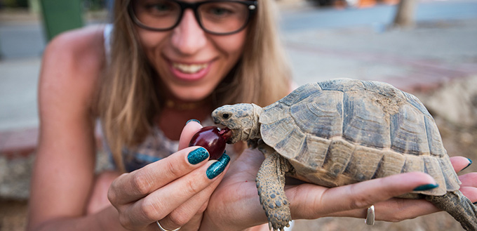 Woman feeding turtle