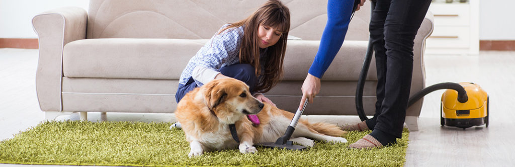 Why Are Dogs Scared of Vacuums? | My Pet Needs That