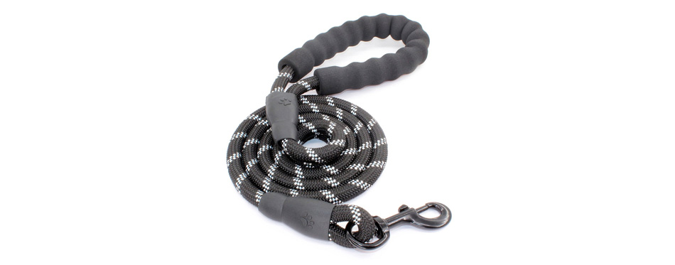 best rope dog leash