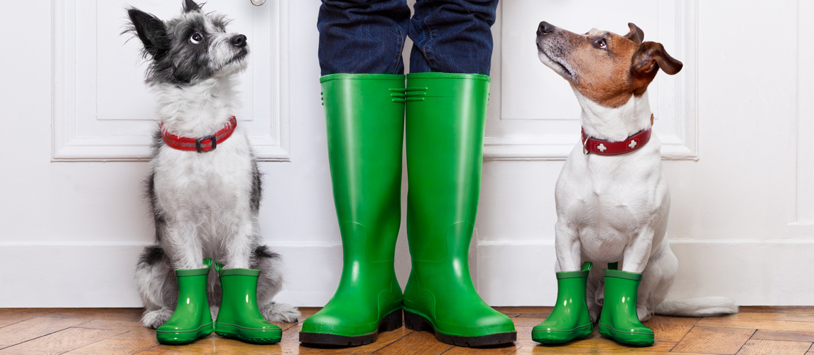 top paw rain boots