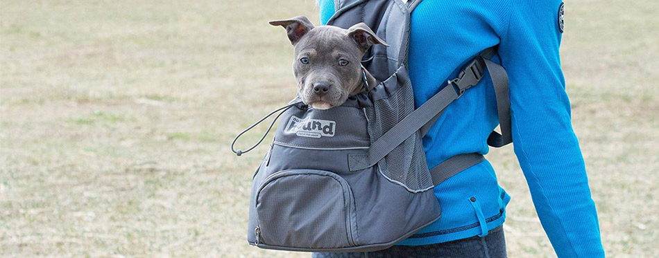 best small dog backpack carrier