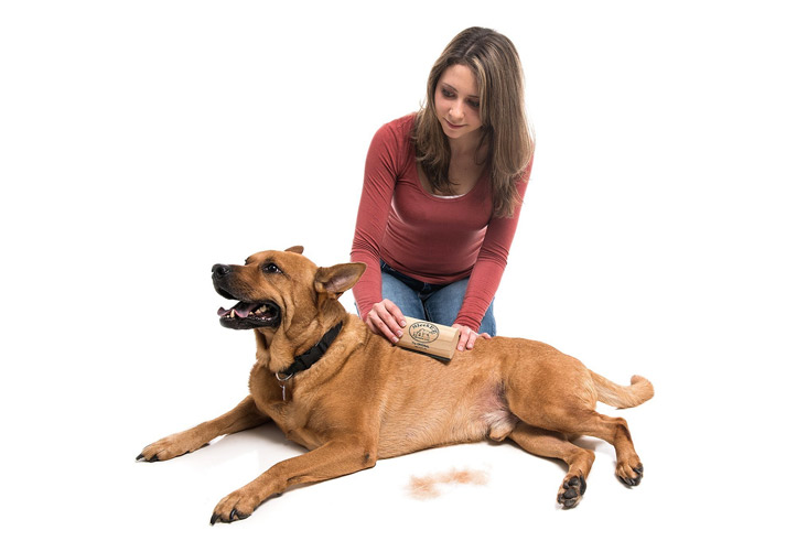 sleek dog brush