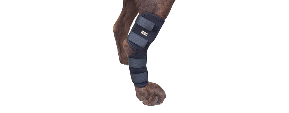dog knee support