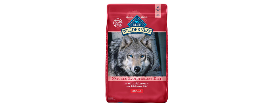 Blue Buffalo Wilderness Salmon Recipe Dog Food