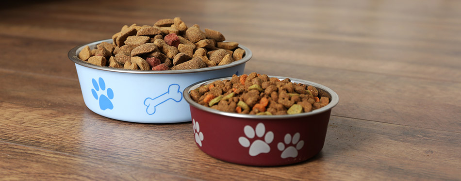 Merrick Dog Food (Review) in 2020 | My Pet Needs That