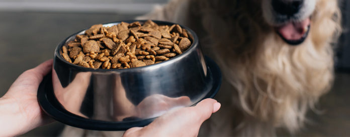 The Best Organic Dog Food in 2022 | My Pet Needs That