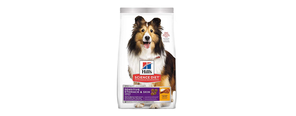 best dog food brands for sensitive stomach