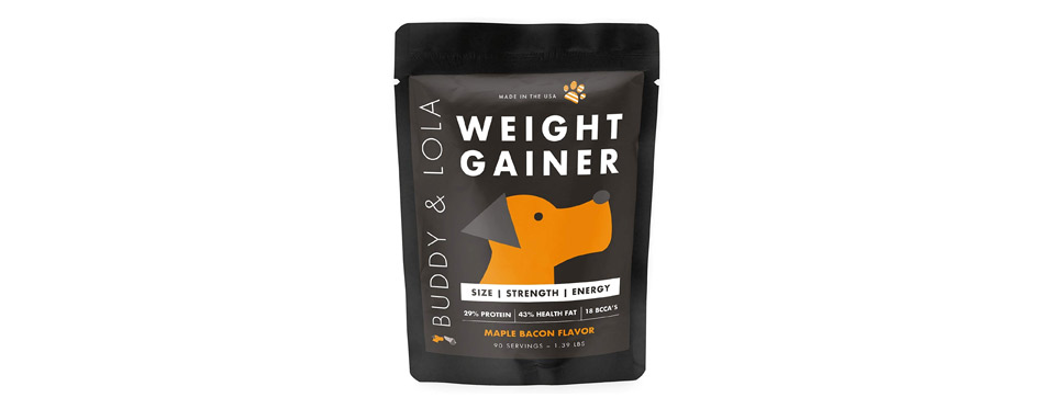 buddy and lola weight gainer