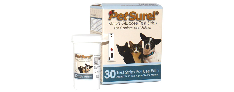 can i use a human glucose monitor for my dog