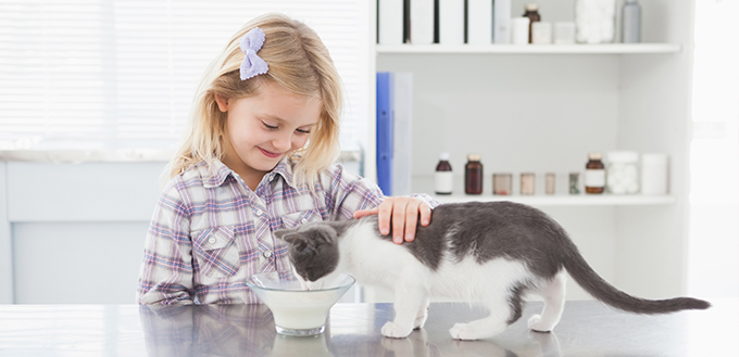 girl feeding her cat with milk