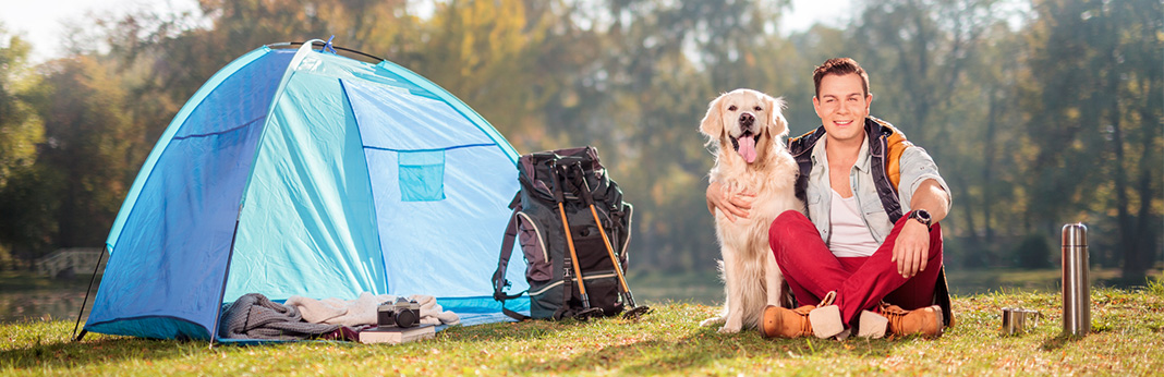 Camping with Dogs - A Beginner's Guide | My Pet Needs That