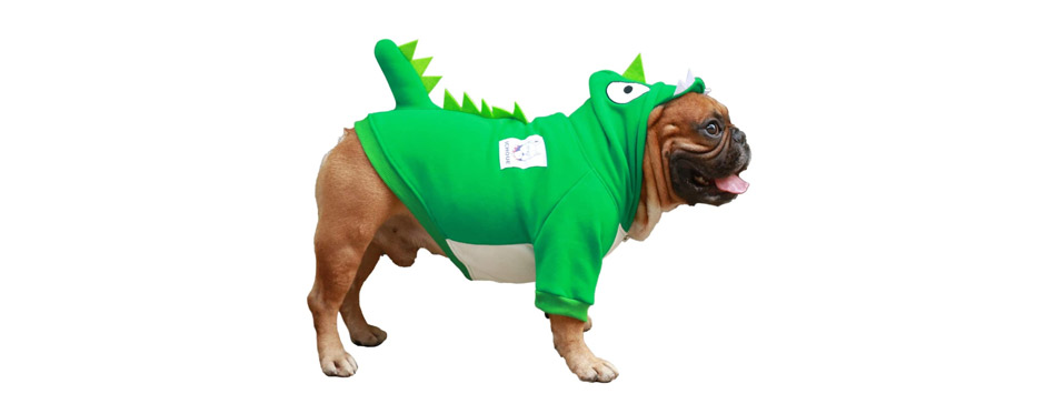 fly dragon puppy costume