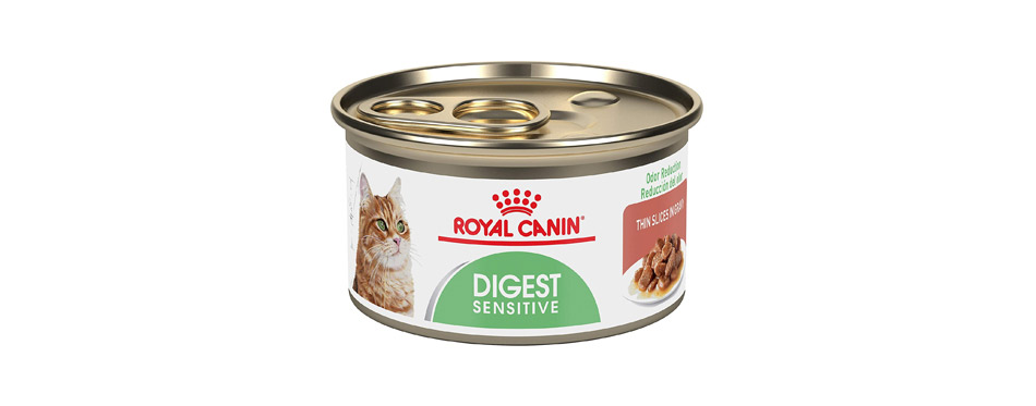 best food for feline pancreatitis