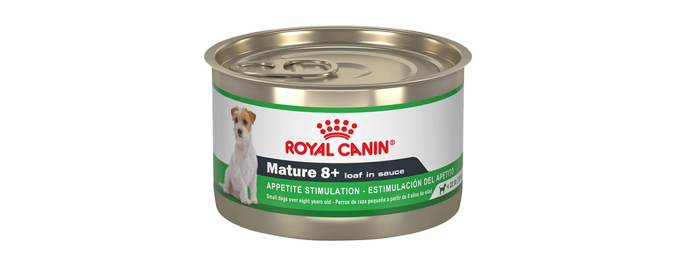 what is renal support dog food