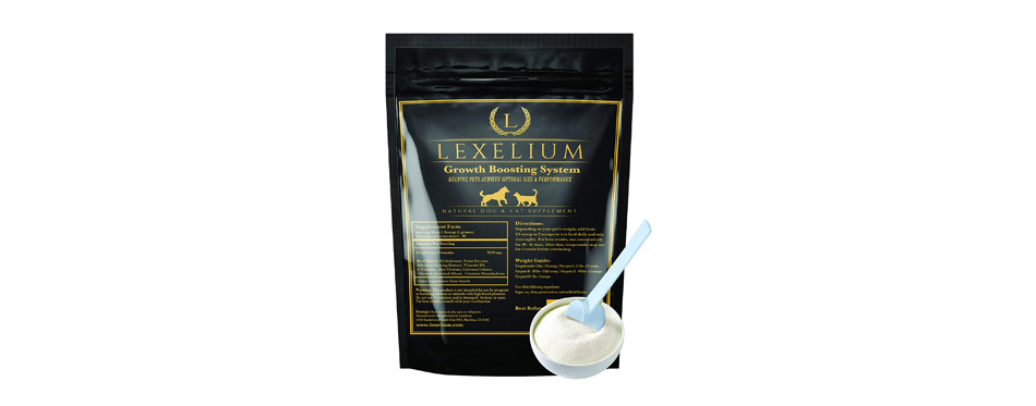 what is the best appetite stimulant for dogs