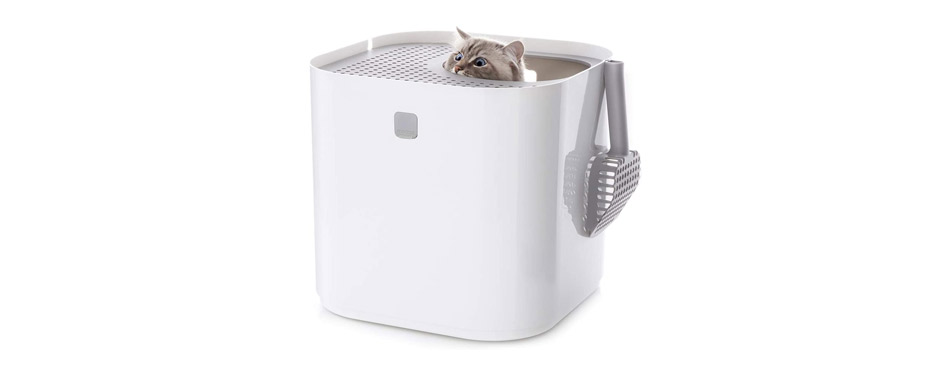 Dog Proof Cat Litter Boxes - the Top Litter Trays for Cats