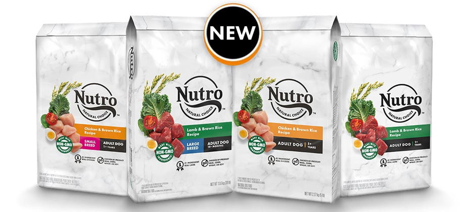 Nutro Dog Food | Review & Best Products (2022) | My Pet Needs That