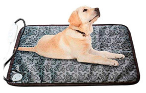 The Best Heated Dog Pads Review In 2020 My Pet Needs That