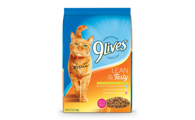 best dry food for cat weight loss