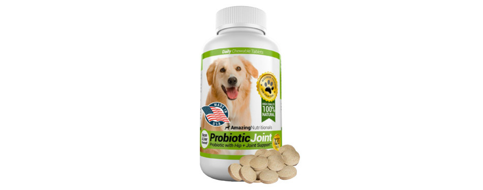 The Best Probiotics for Dogs (Review) in 2021 | My Pet Needs That