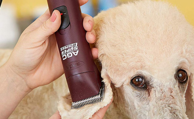oneisall dog clippers review