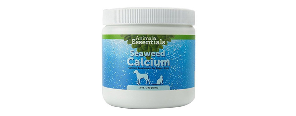 do dogs need calcium supplements