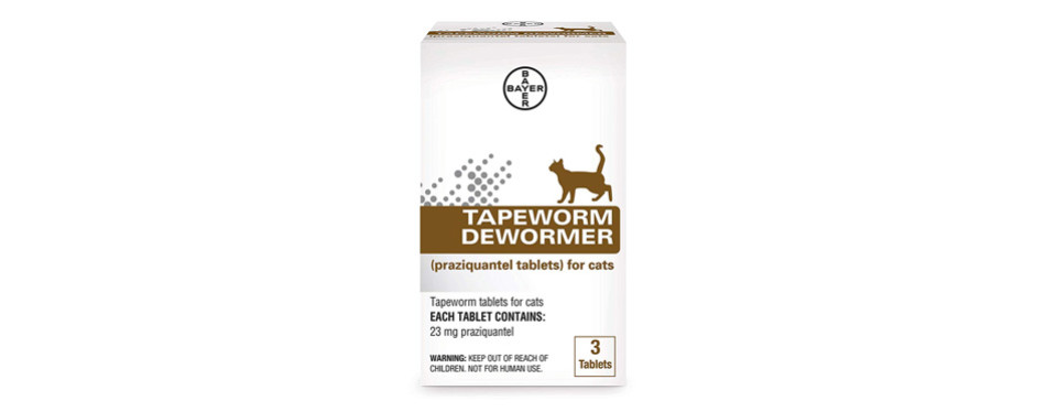 The Best Dewormers For Cats In 2022 | My Pet Needs That