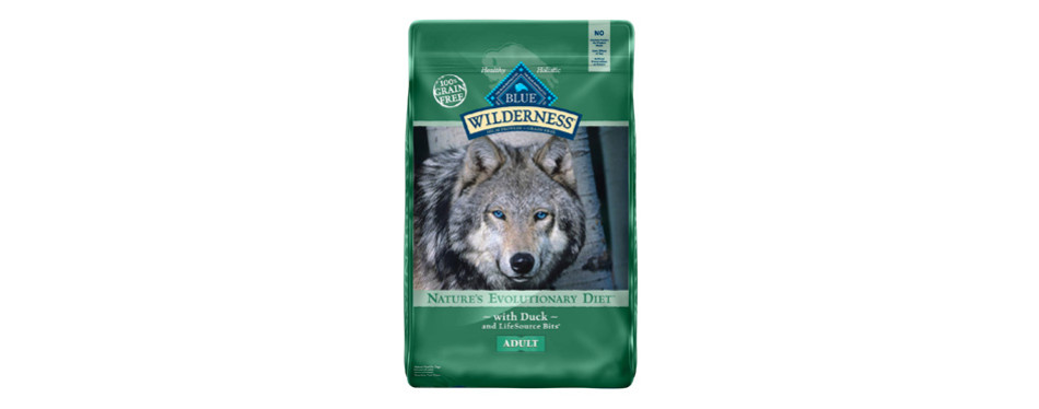 into the wilderness dog food