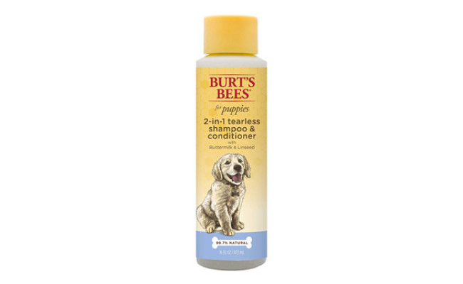 shampoo for pitbulls with dry skin