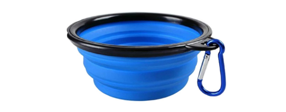 The Best Collapsible Dog Bowls in 2022 | My Pet Needs That