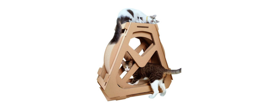 best cat exercise wheel