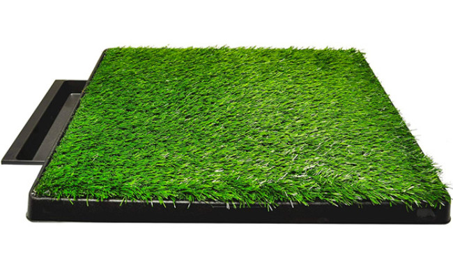 indoor turf potty